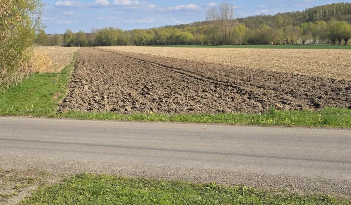 Działka rolna Pielaszów
