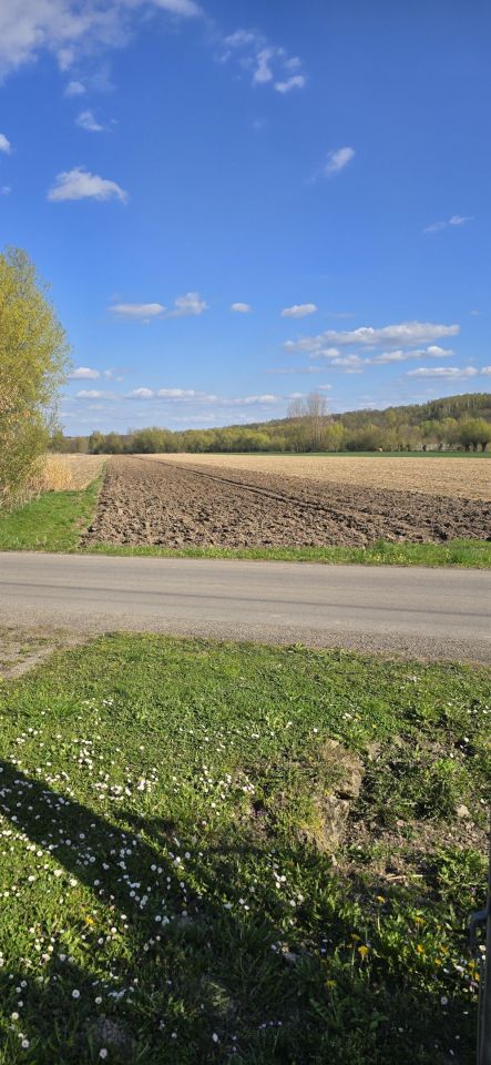 Działka rolna Pielaszów. Zdjęcie 1