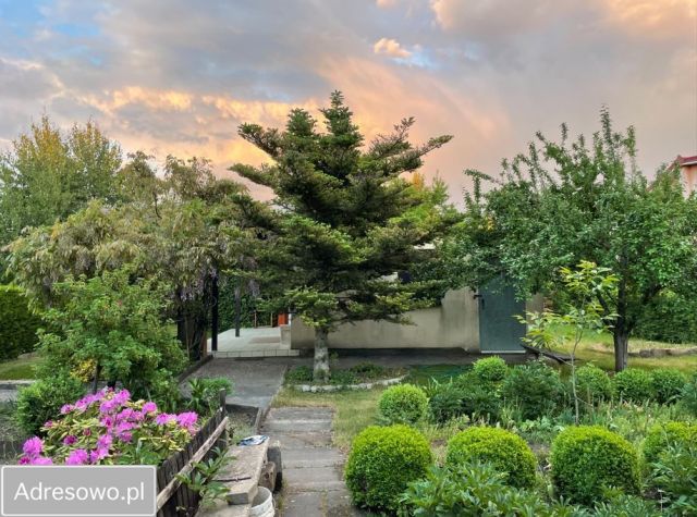 Działka rod Poznań, ul. Wichrowa. Zdjęcie 1