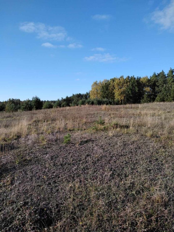 Działka budowlana Łebno. Zdjęcie 3