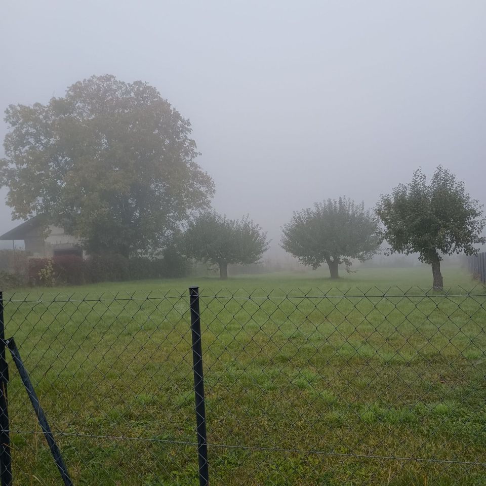 Działka rolno-budowlana Srebrzyszcze. Zdjęcie 2