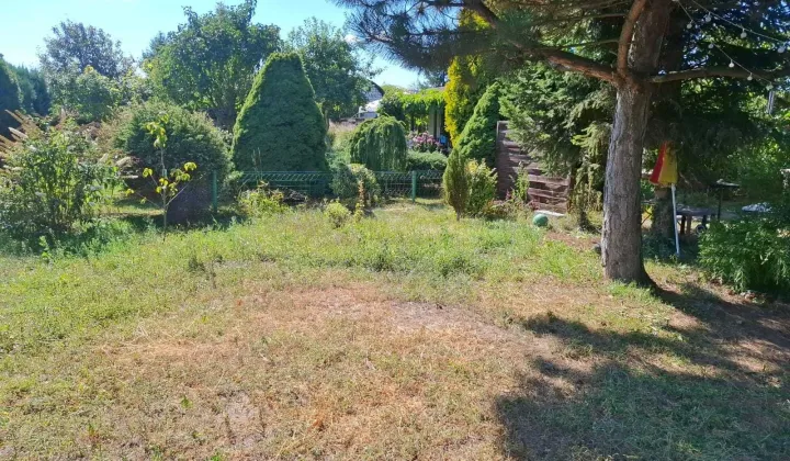 Działka rod Kędzierzyn-Koźle Pogorzelec, ul. Gliwicka