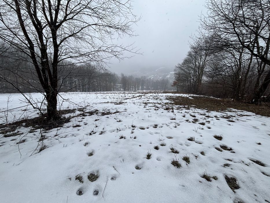 Działka budowlana Rymanów-Zdrój. Zdjęcie 8