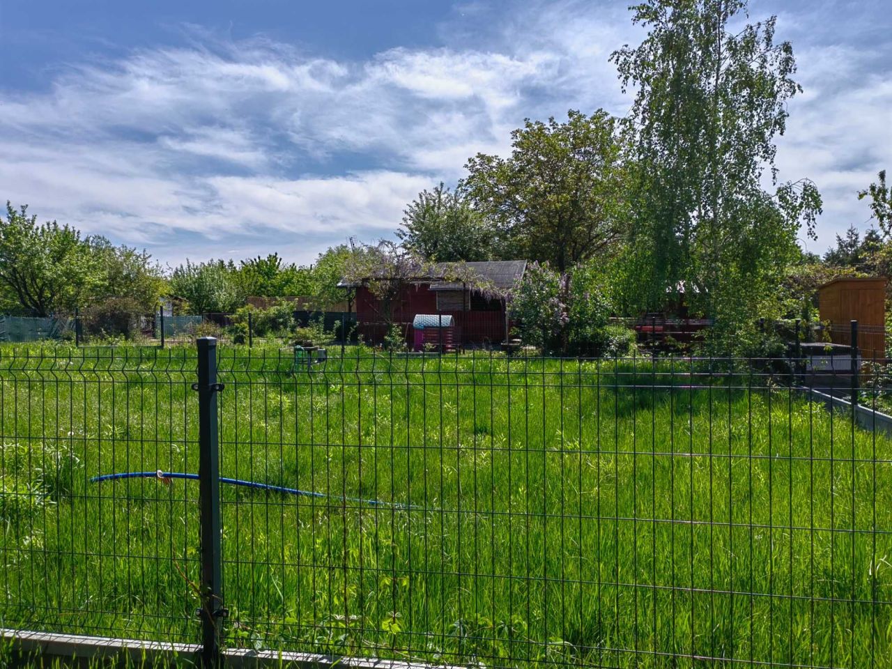 Działka rod Miłosław. Zdjęcie 3