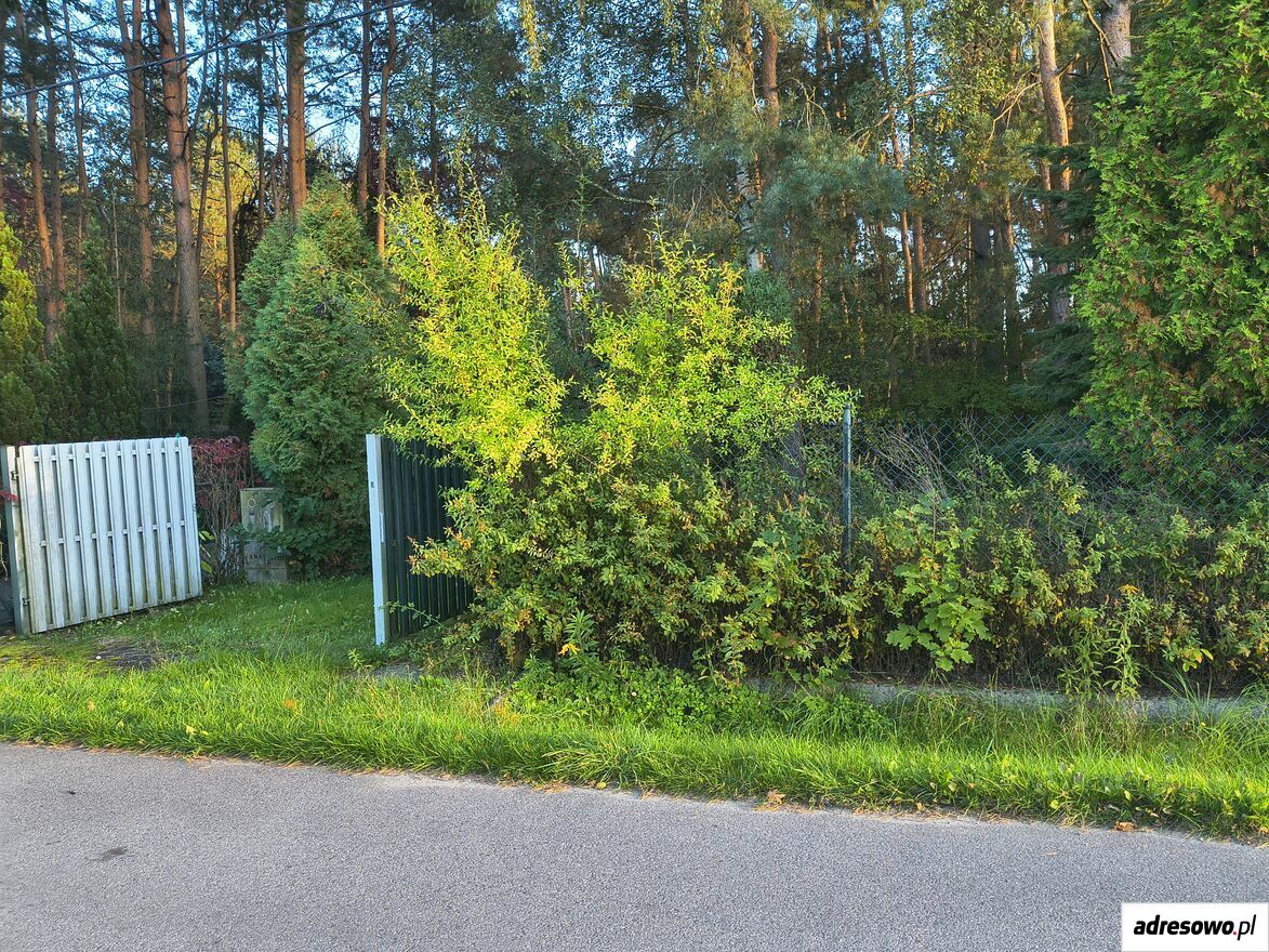 Działka budowlana Szynkielew. Zdjęcie 9