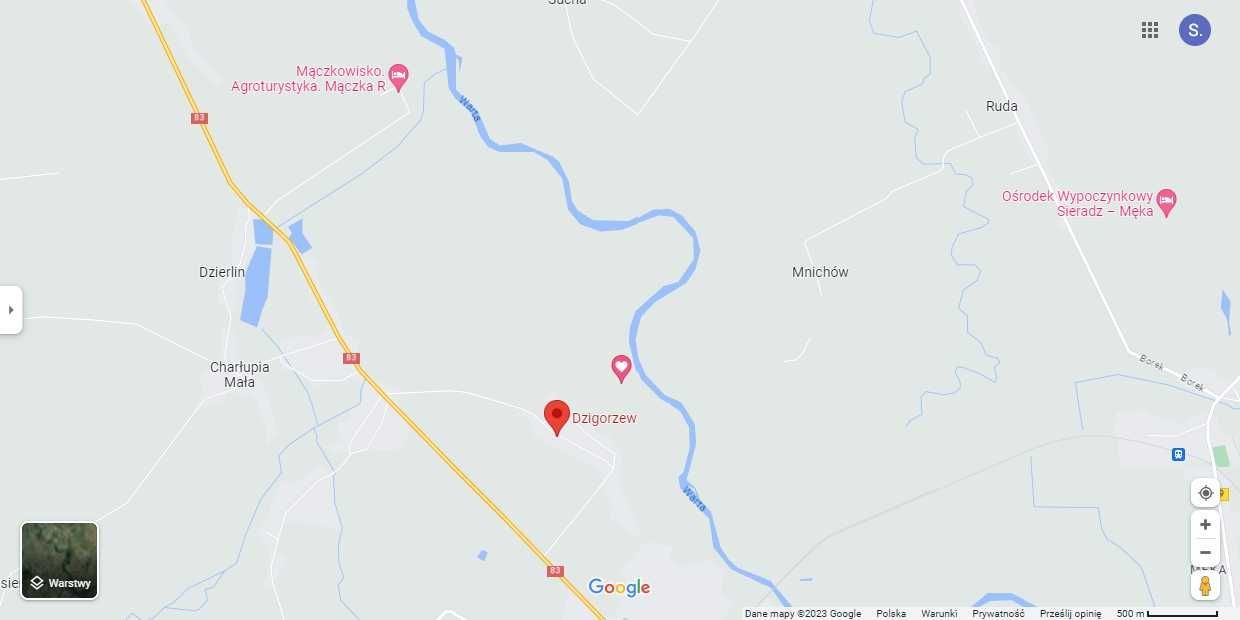 Działka rolna Dzigorzew. Zdjęcie 2