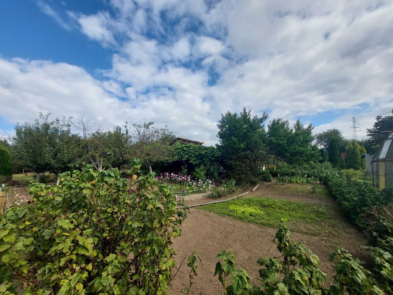 Działka rod Niekłonice. Zdjęcie 5