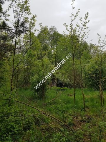 Działka rolna Korabiewice. Zdjęcie 1