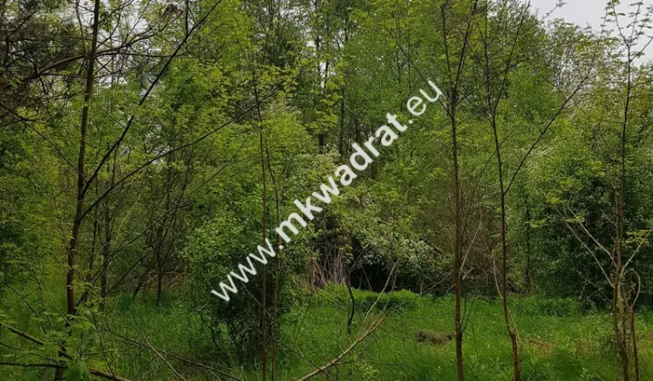 Działka rolna Korabiewice