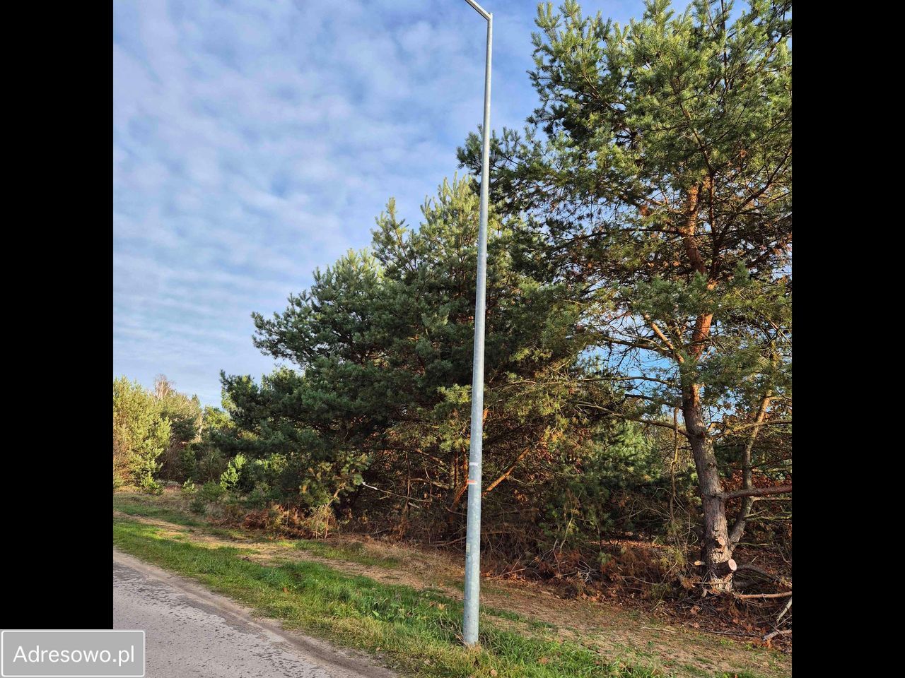 Działka rekreacyjna Biała Góra. Zdjęcie 6