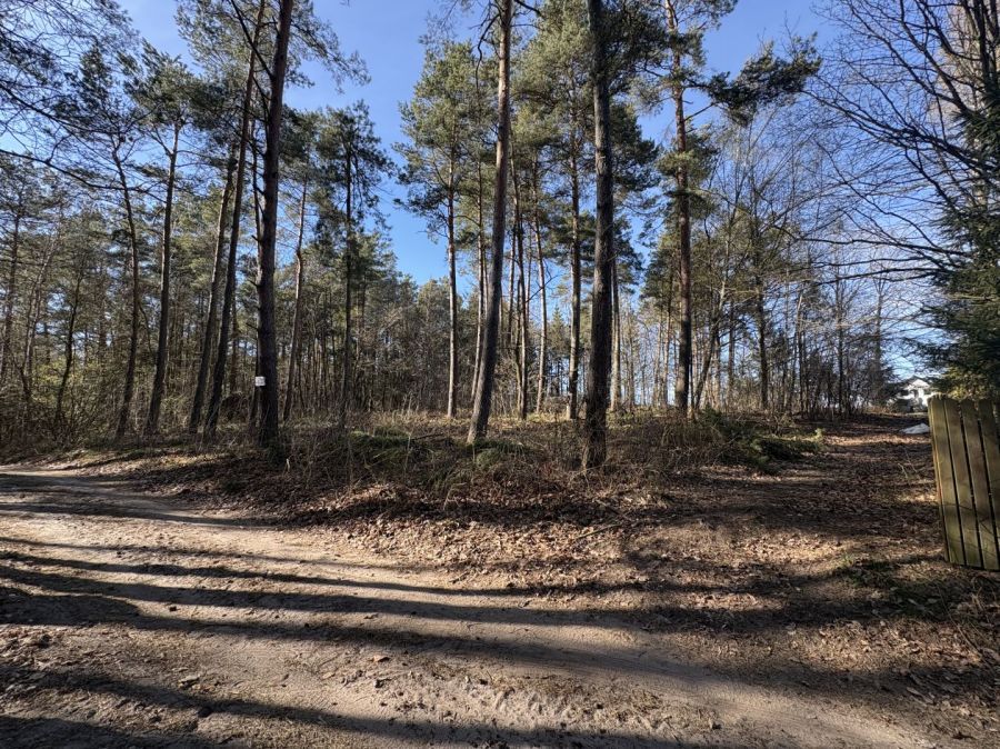 Działka leśna Żukowo. Zdjęcie 7