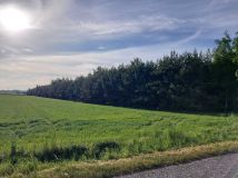 Działka leśna Zakrzewo-Parcele. Zdjęcie 2
