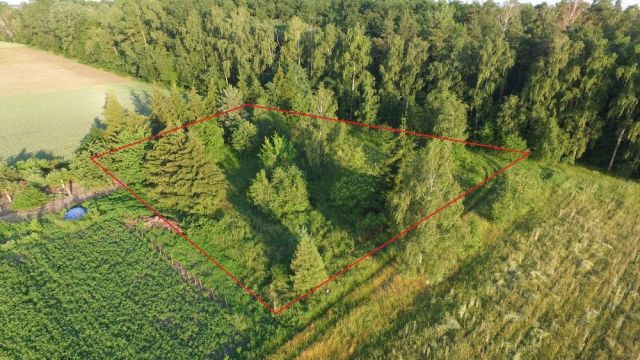Działka budowlana Borowice. Zdjęcie 1
