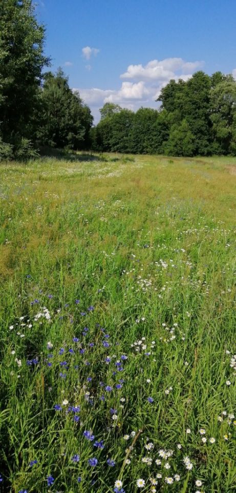 Działka rolna Kamianki-Wańki. Zdjęcie 3