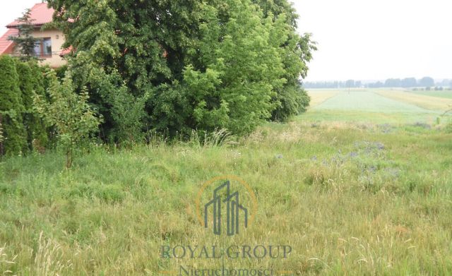 Działka Ostrówek. Zdjęcie 2