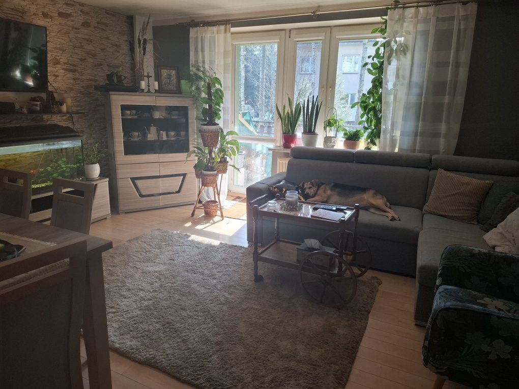 Mieszkanie 3-pokojowe Wyszków. Zdjęcie 7