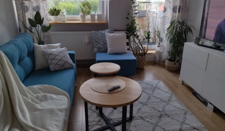 Mieszkanie 1-pokojowe Proszowice, ul. Wolności