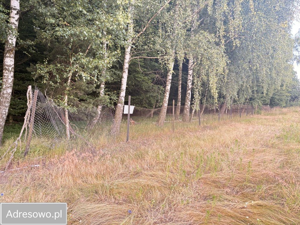 Działka rolno-budowlana Radziwiłłów. Zdjęcie 8