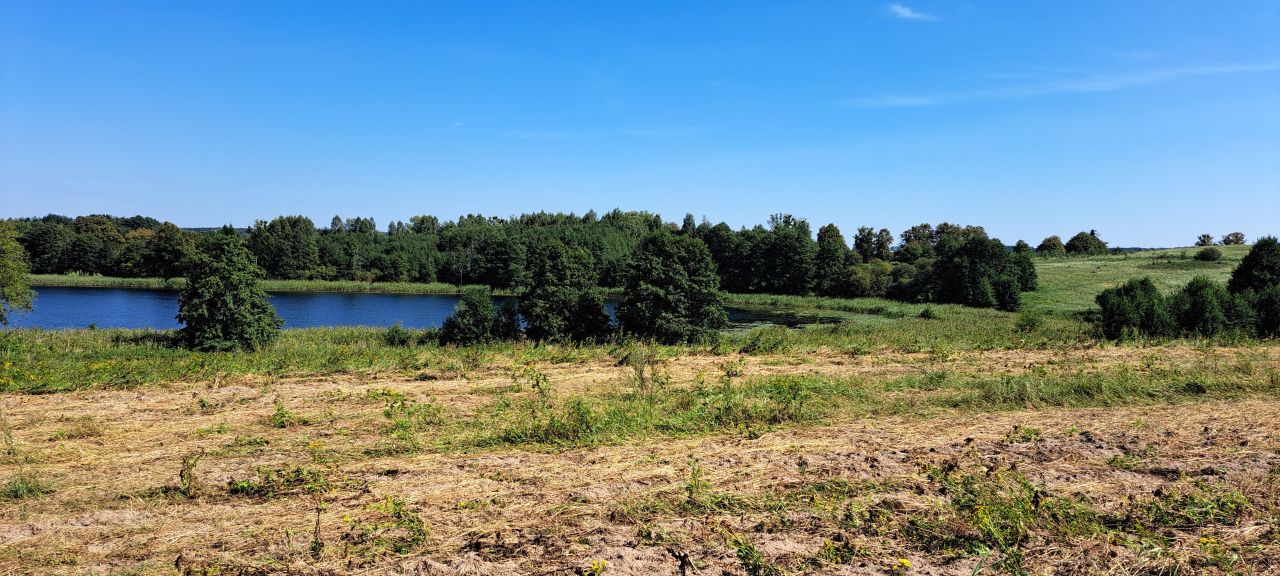 Działka rolna Cerkiewnik. Zdjęcie 12
