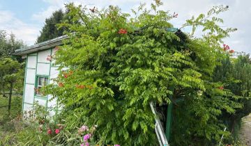 Działka rod Zielona Góra Jędrzychów