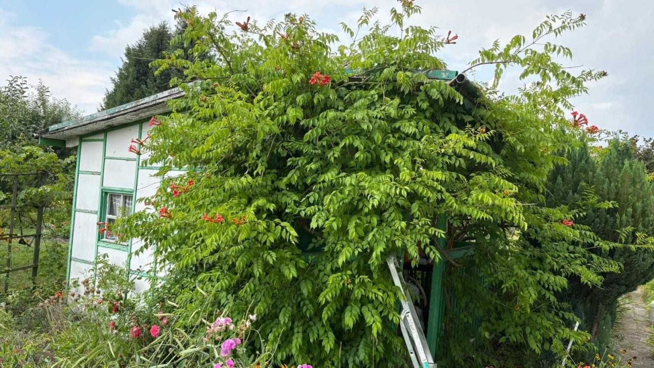 Działka rod Zielona Góra Jędrzychów. Zdjęcie 2