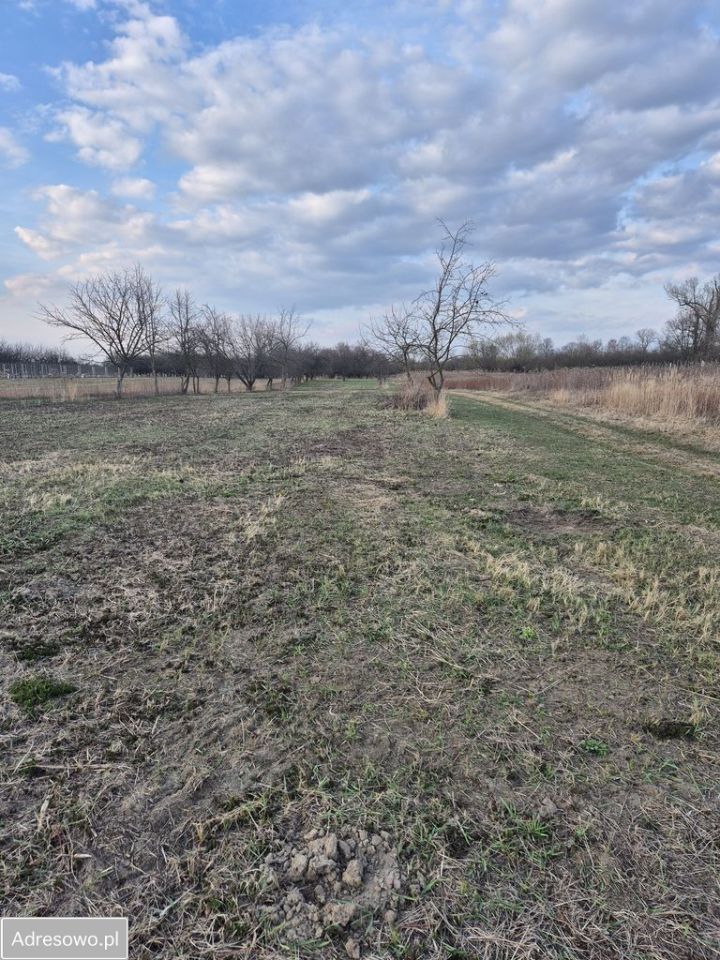 Działka rolna Kępa Nadbrzeska. Zdjęcie 5