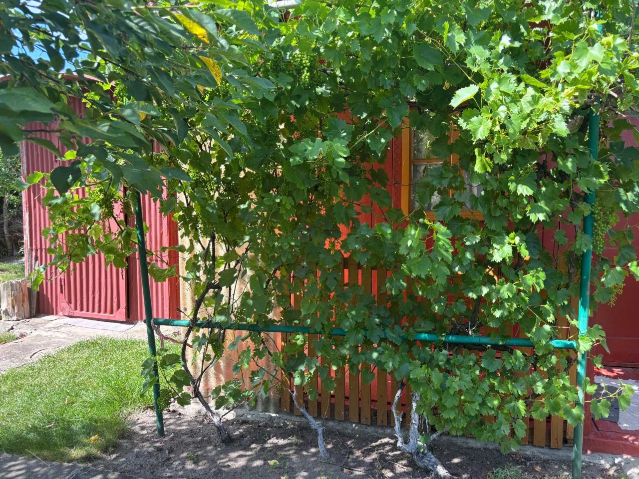 Działka rod Wrocław Brochów. Zdjęcie 7