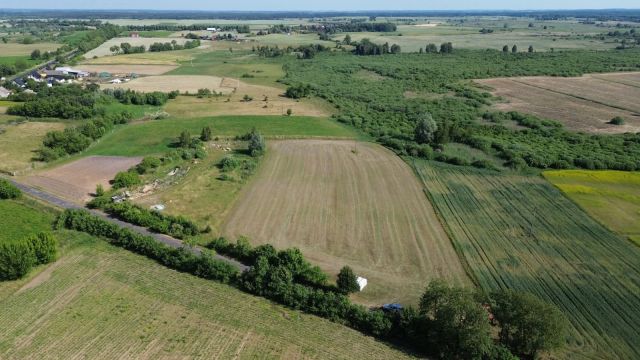 Działka budowlana Trzcinna. Zdjęcie 1