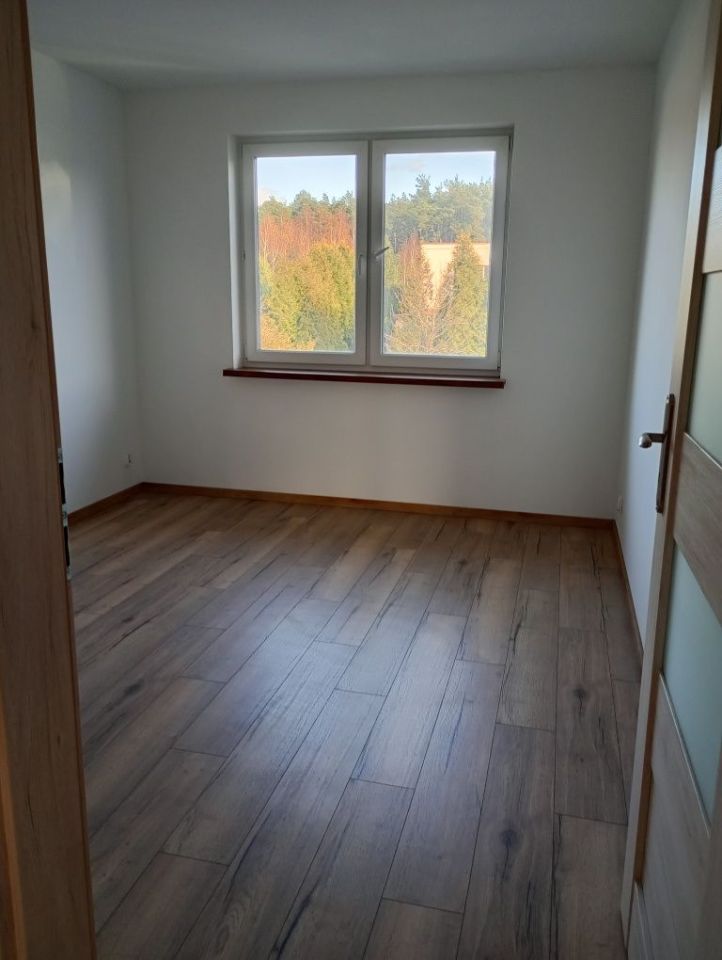 bliźniak Lisi Ogon. Zdjęcie 2