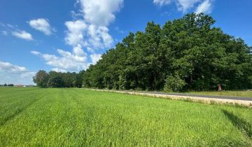 Działka rolna Zbuczyn, ul. Północna