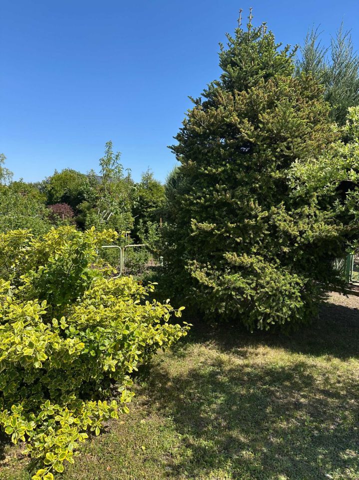 Działka rod Luboń. Zdjęcie 4