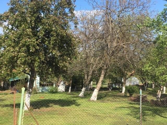 Działka budowlana Maciejowice. Zdjęcie 5