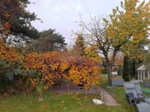 Działka rod Łódź Widzew, ul. Telefoniczna. Zdjęcie 4