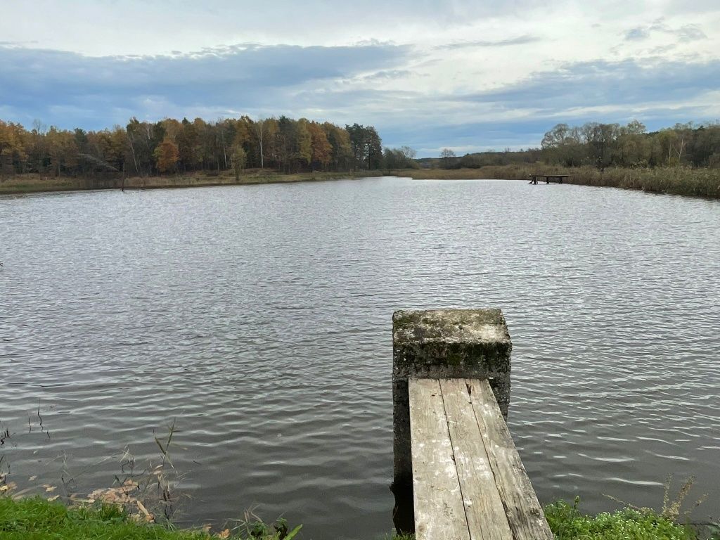 Działka rekreacyjna Iwaniska. Zdjęcie 7