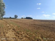 Działka budowlana Gębice. Zdjęcie 3