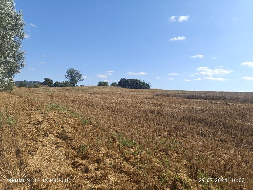 Działka budowlana Gębice. Zdjęcie 4