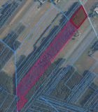 Działka siedliskowa Adampol. Zdjęcie 1