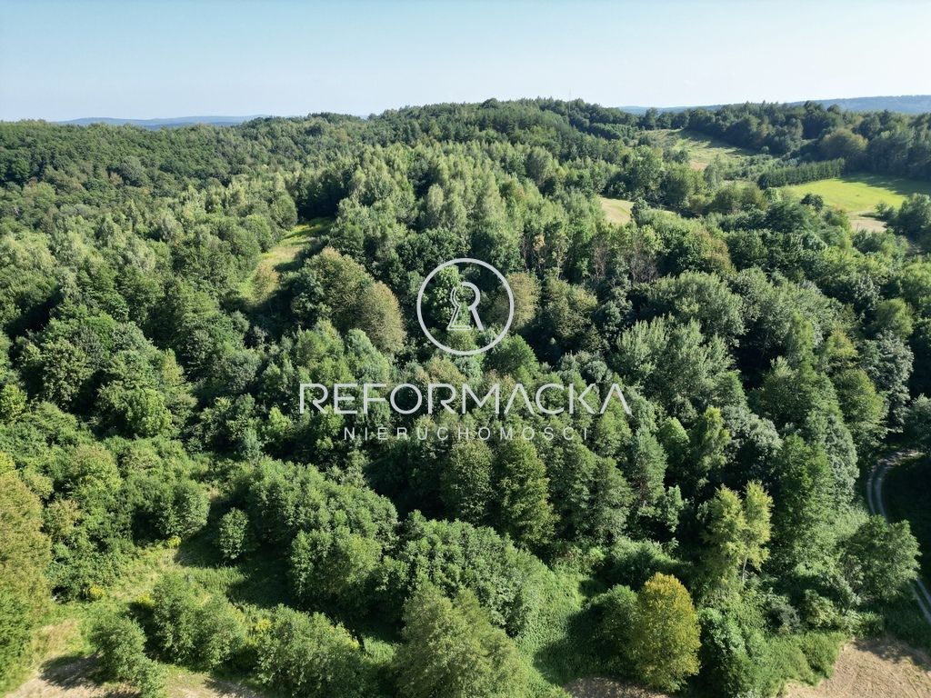 Działka rolna Dubiecko. Zdjęcie 10