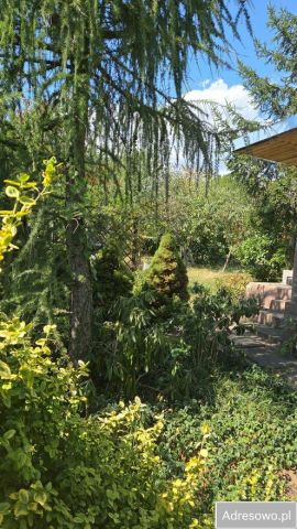 Działka rod Kędzierzyn-Koźle Kuźniczka, ul. Grunwaldzka. Zdjęcie 4