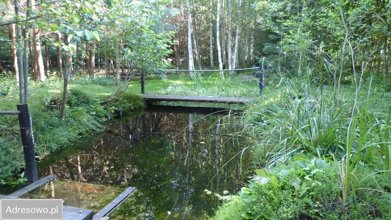 dom wolnostojący, 5 pokoi Wielkopole. Zdjęcie 10