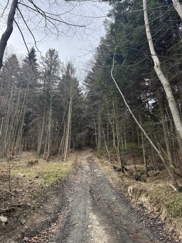 Działka rolna Szczyrk. Zdjęcie 3