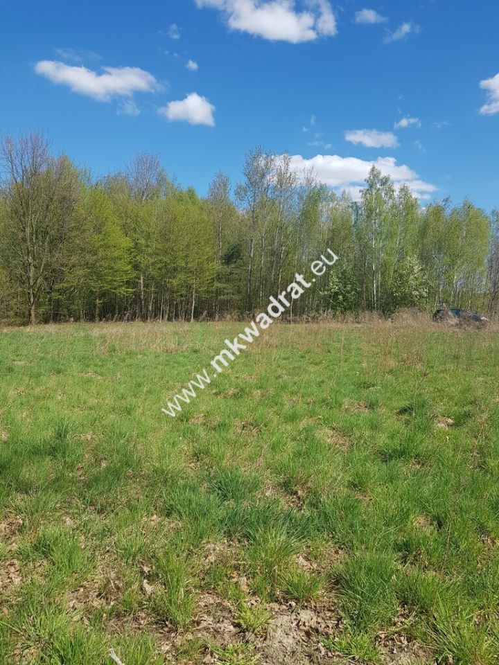 Działka budowlana Budy Mszczonowskie. Zdjęcie 5