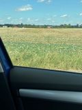 Działka rolno-budowlana Abramowice Prywatne. Zdjęcie 3