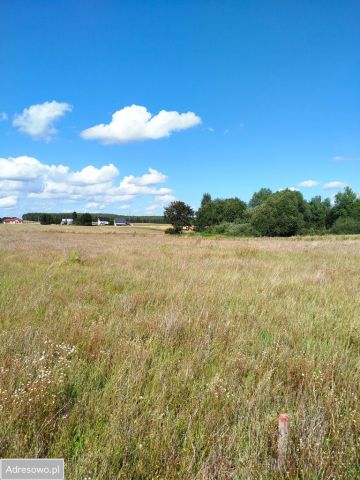 Działka budowlana Liniewo. Zdjęcie 1