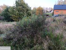 Działka budowlana Szarłata, ul. Długa. Zdjęcie 3