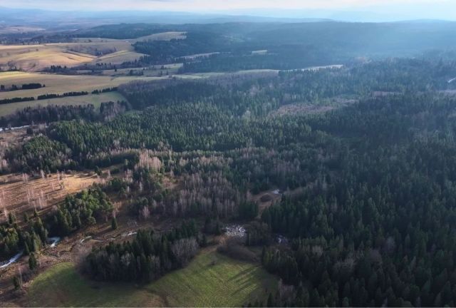 Działka rolna Czarna. Zdjęcie 5