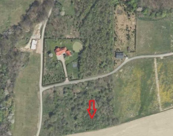 Działka budowlana Stary Wielisław. Zdjęcie 4