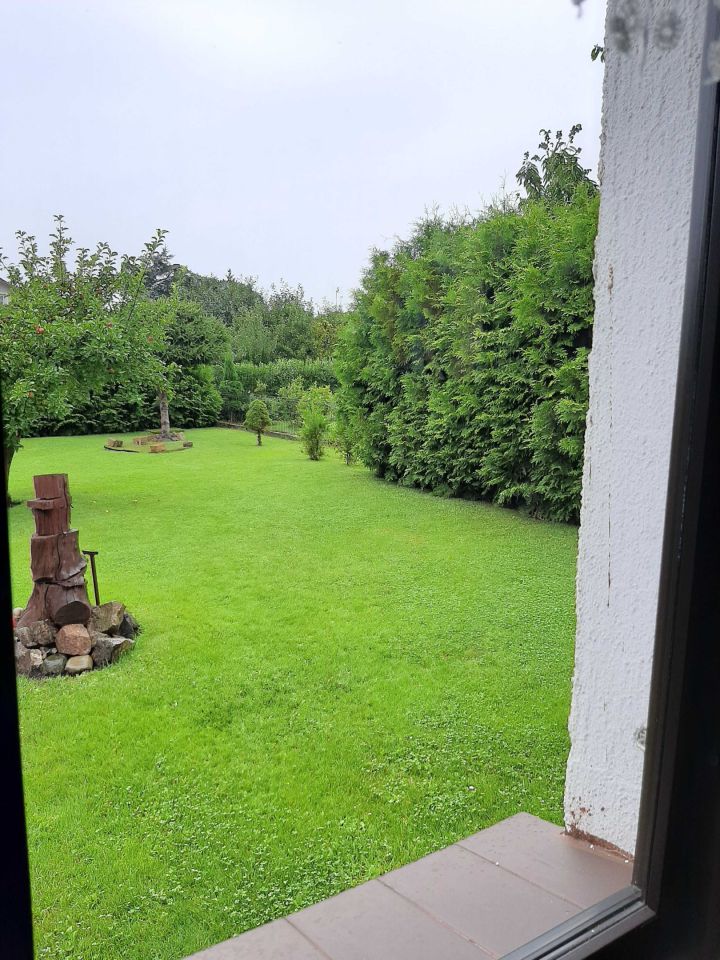 Działka rod Drzewce. Zdjęcie 2