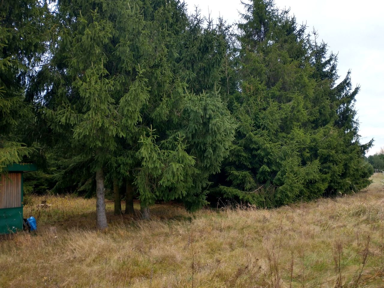 Działka rolna Ługi. Zdjęcie 9