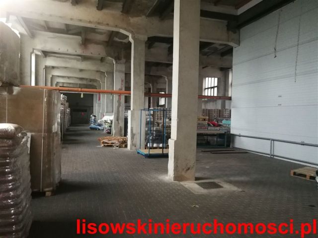 Lokal Zgierz. Zdjęcie 14